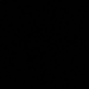 Meet your Posher, Wesley